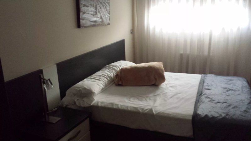 Spirit Apartamentos Atxuri