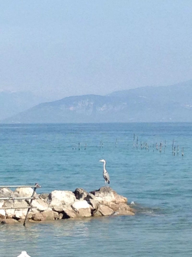 Hotel Il Biancospino