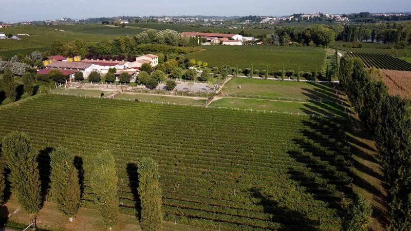 Agriturismo Colli Storici