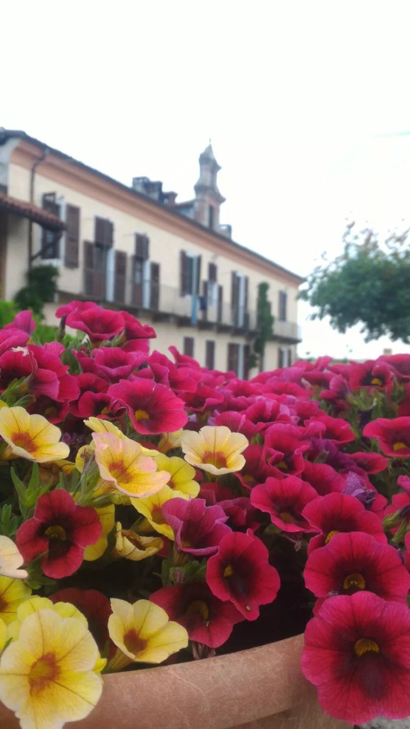 Agriturismo Cascina Sibilla