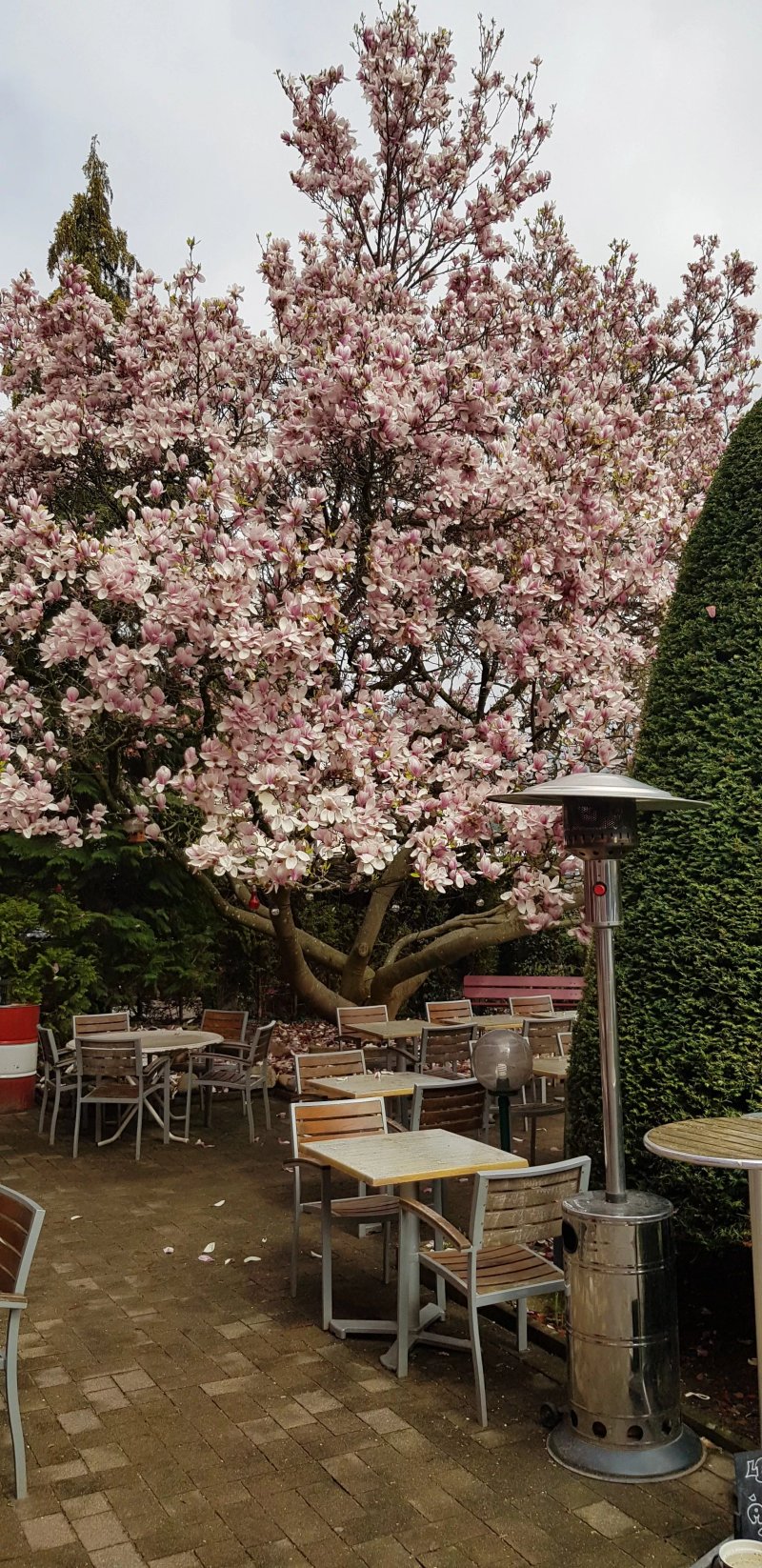 Aux Sapins Restaurant