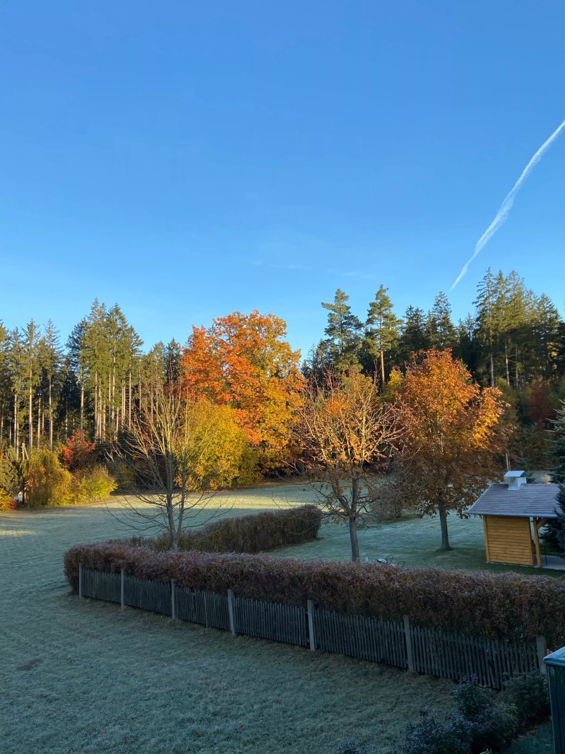 Forsthaus Luchsenburg