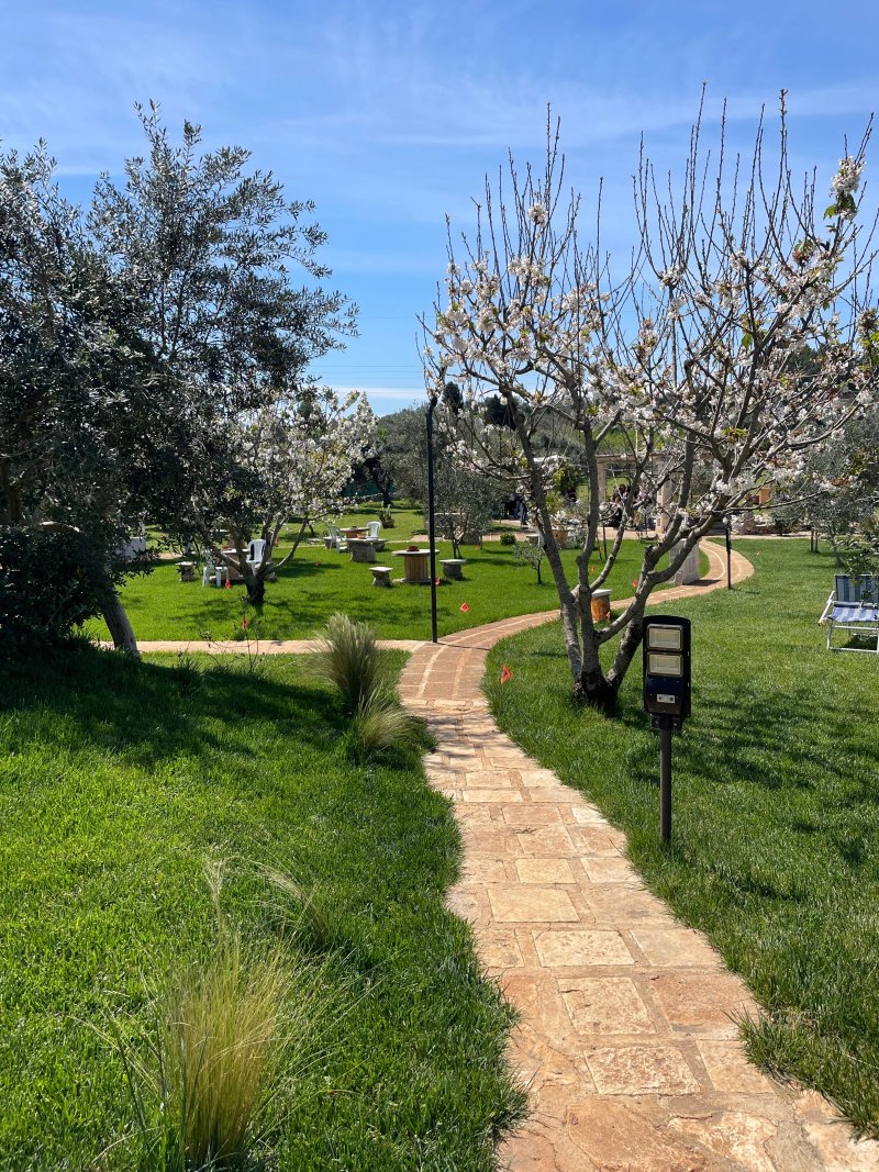 B&B Borgo Mincuccio