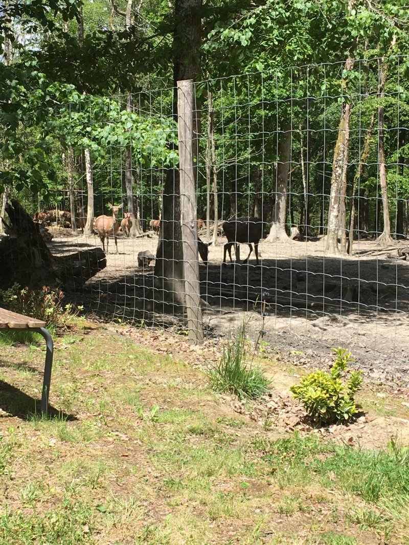 Chez marie La Loge Aux Chèvres