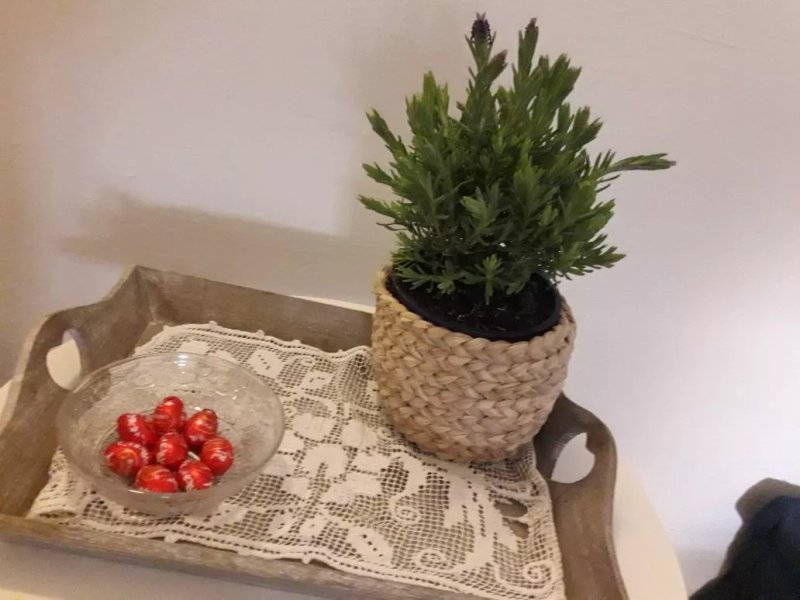 Aria Di Livorno B&B