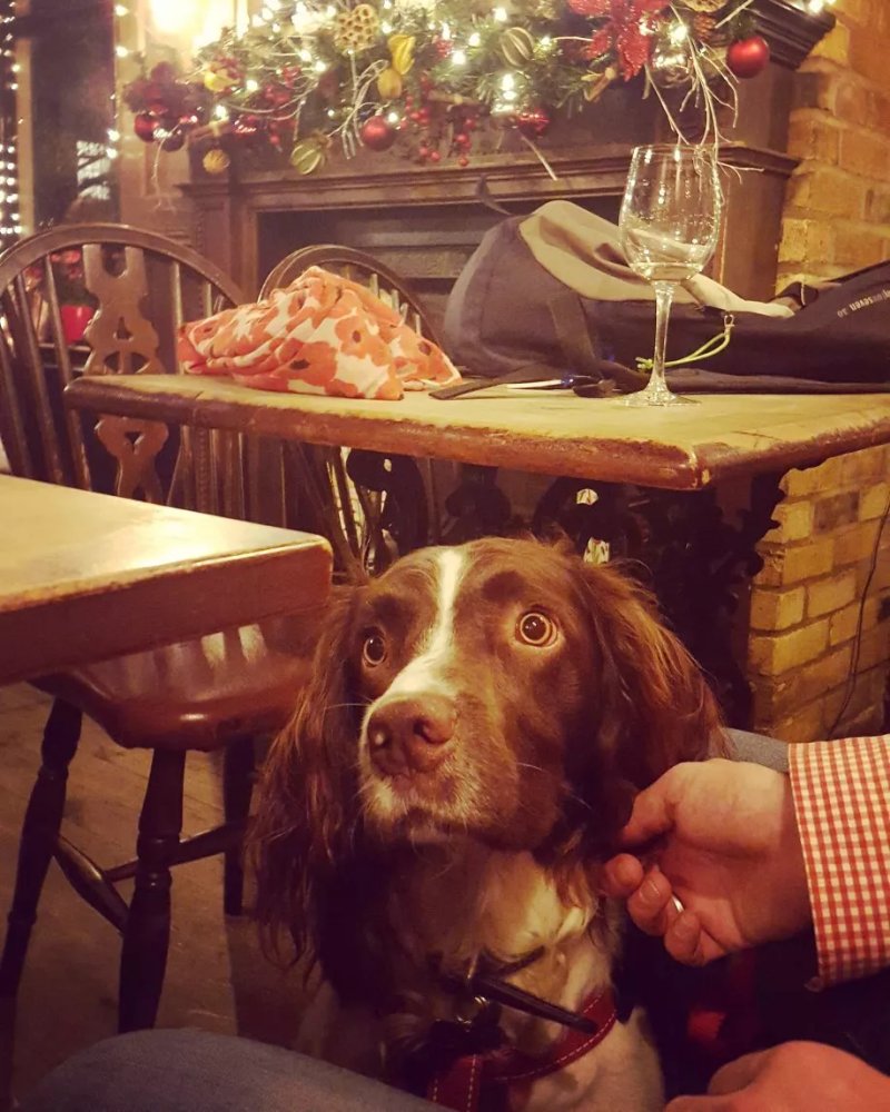 The Cumberland Arms