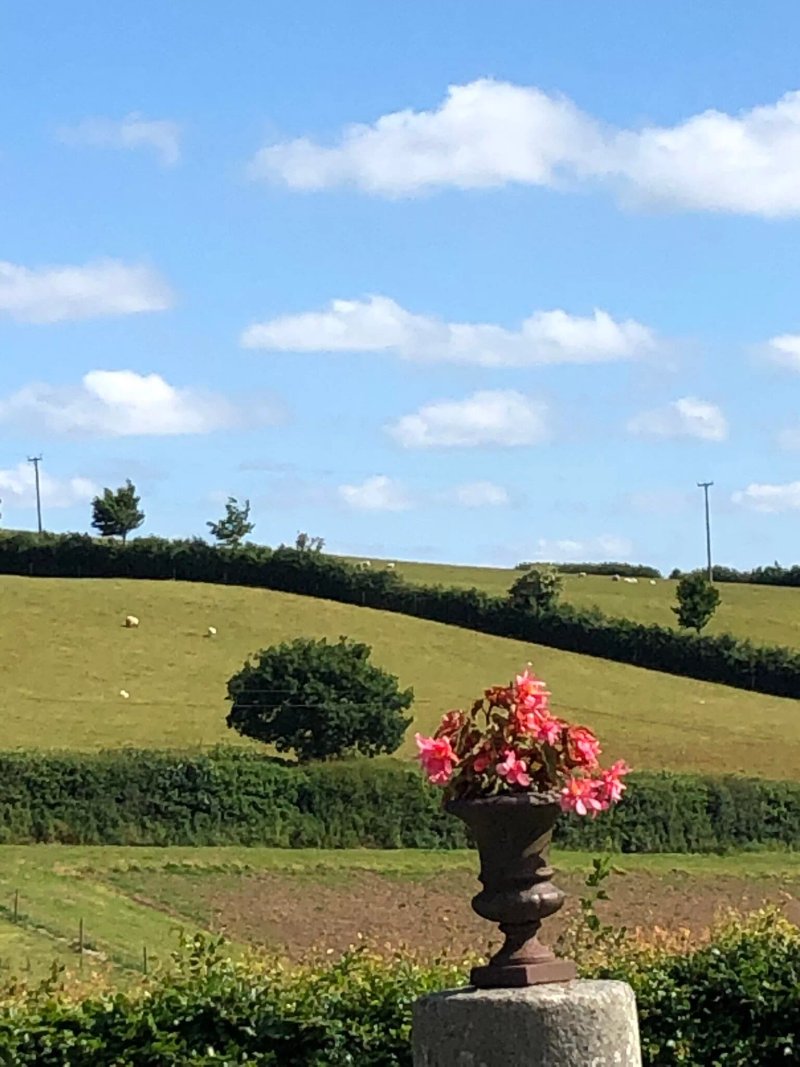 Lobhill Farmhouse Bed And Breakfast Devon
