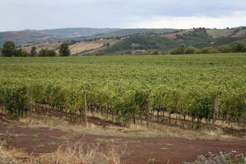 La Biagiola Winery