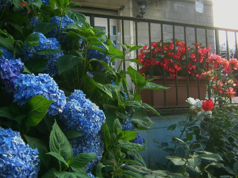 Hotel Ristorante Margherita