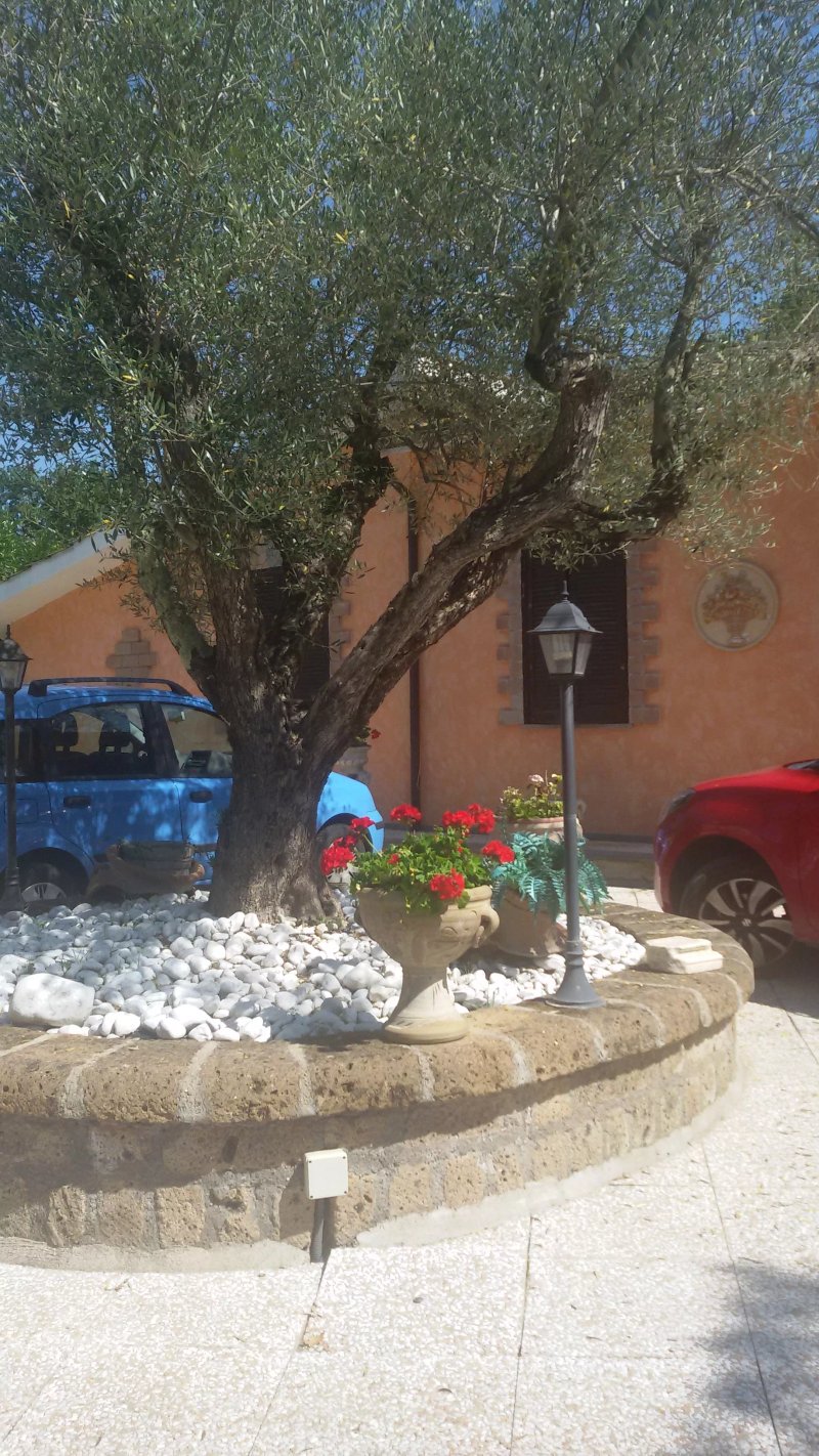 B&B Villa Rosalba
