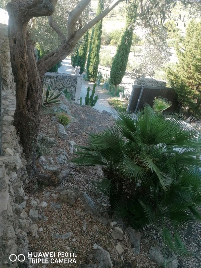 Roba Degli Ulivi B&B