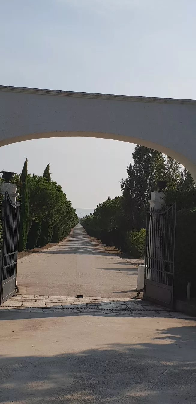 Masseria Protomastro