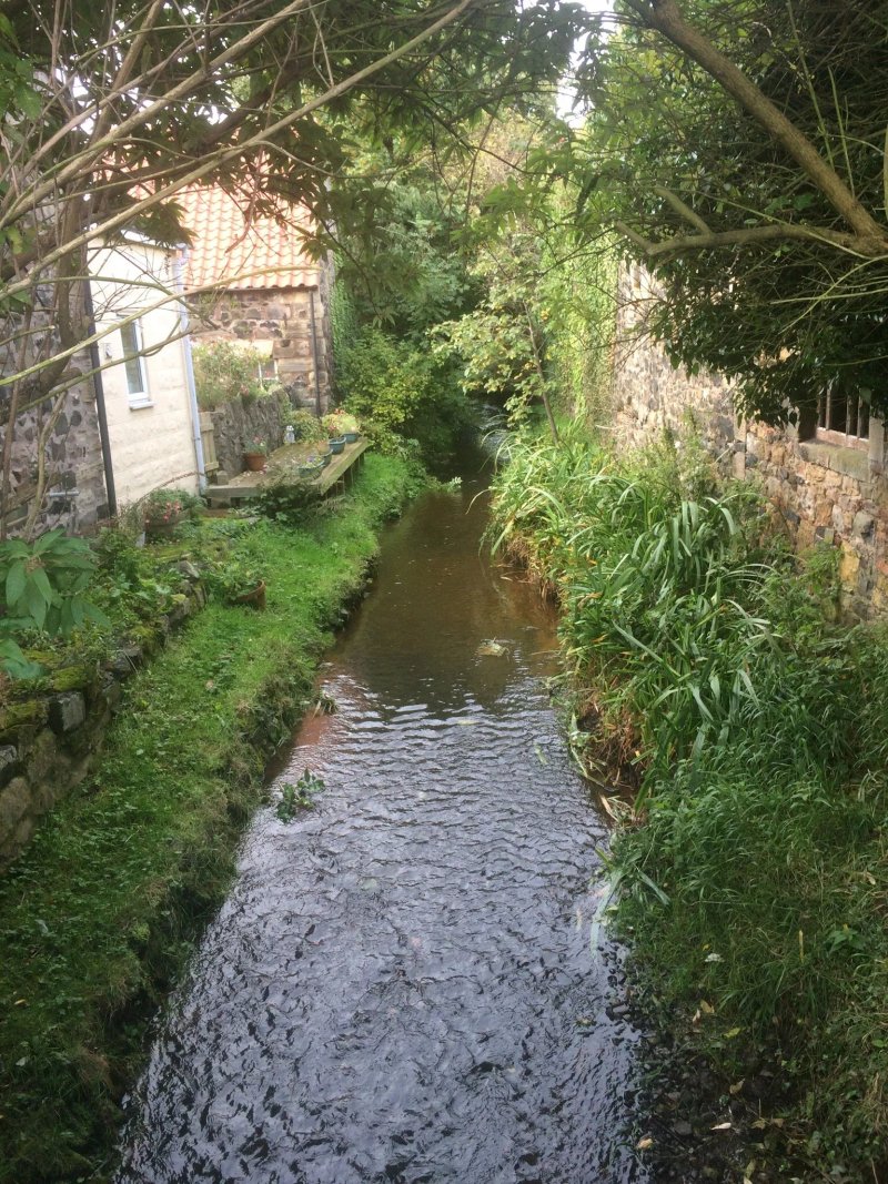 Blue Bell Farm Caravan Park & Holiday Cottages
