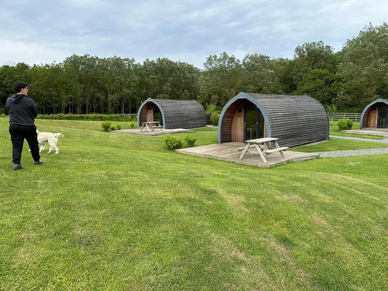Flamborough Vineyard & Glamping
