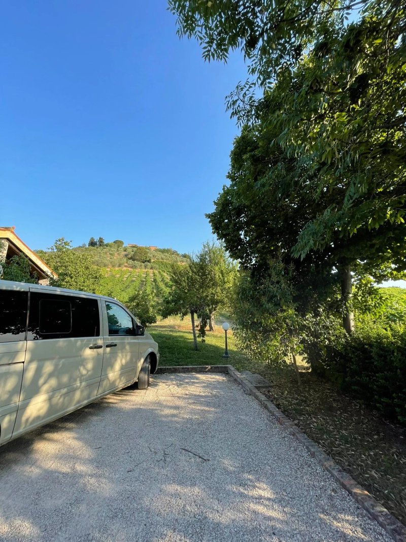 Palazzo Astolfi Agriturismo