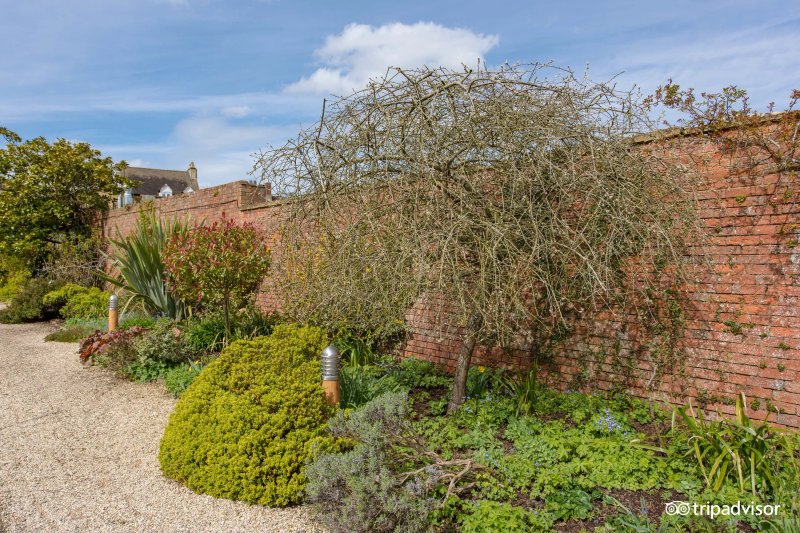 The Manor House Hotel