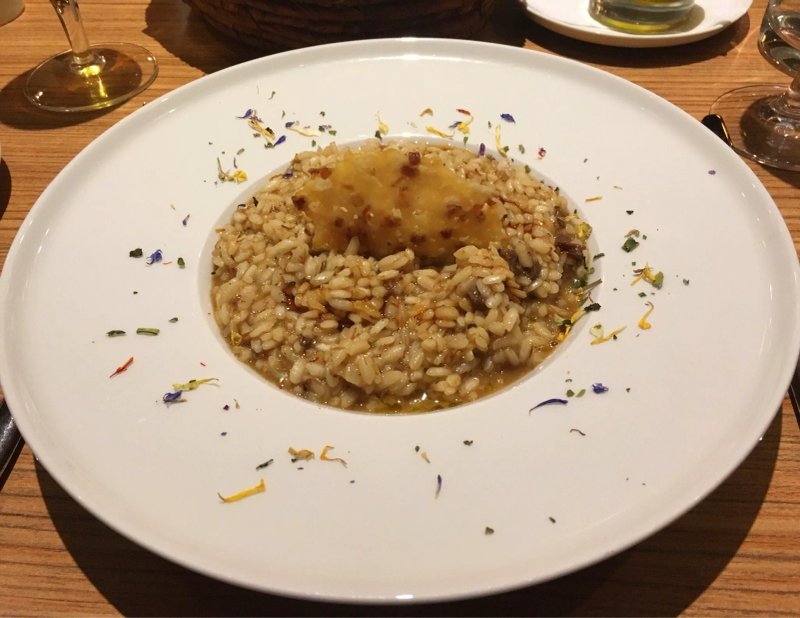 OXBO Urban Bar & Grill