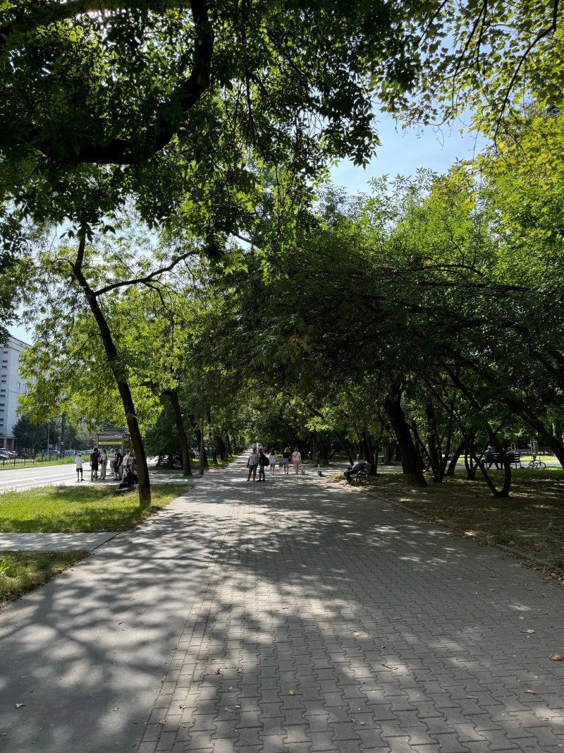 Park Szwedzki