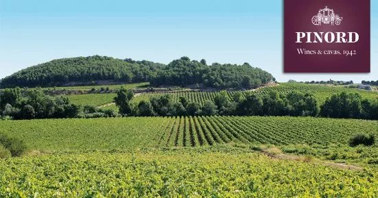Pinord Winery