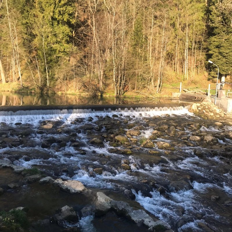 Gasthaus zum Bierhäusl