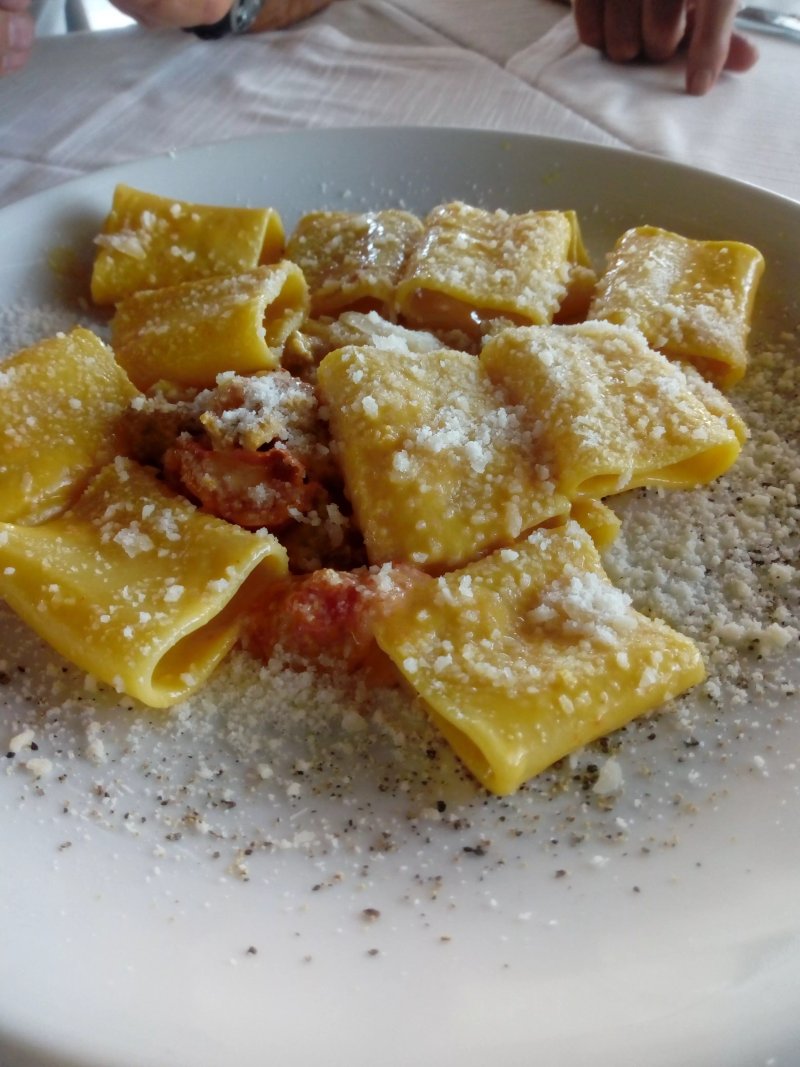 La Vite e gli Ulivi