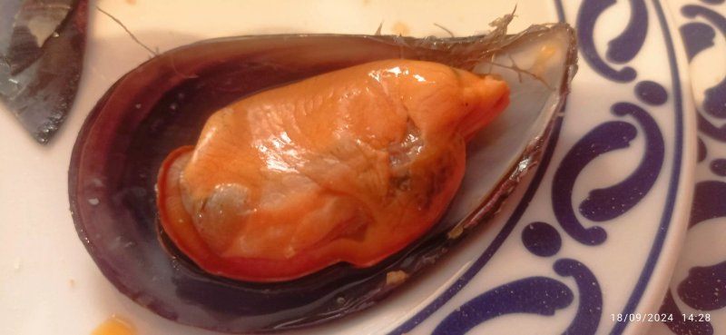 Buras