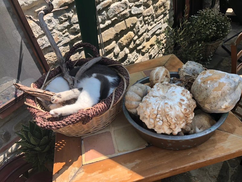 Cascina Ca' Ca Bianca Agriturismo