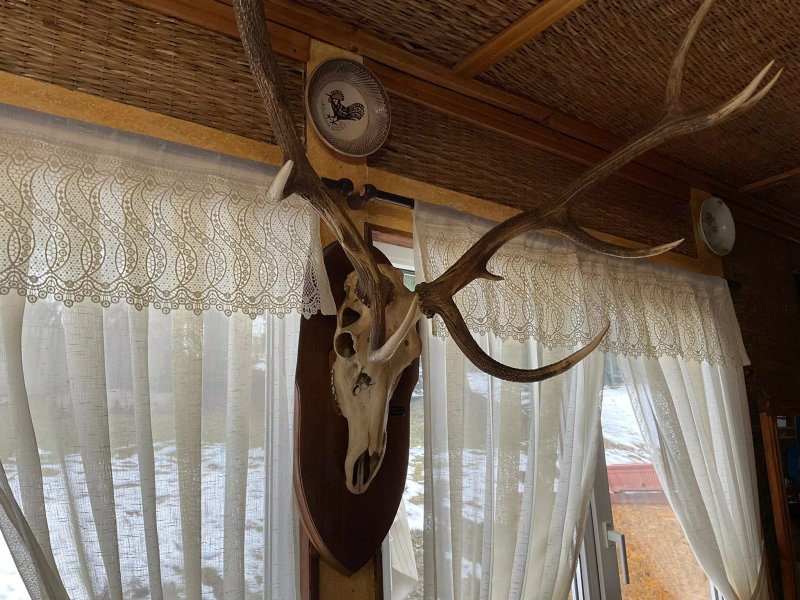 Restaurant Vanatoresc Furnica