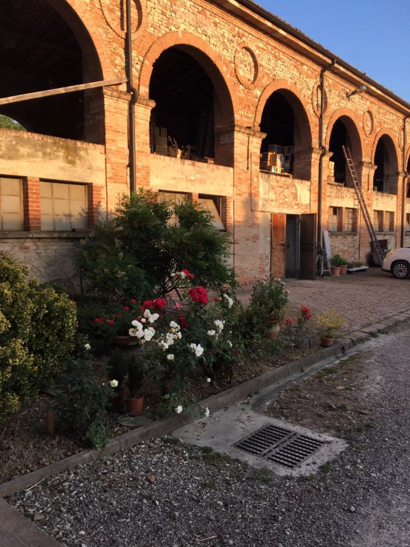 Agriturismo Arte Contadina