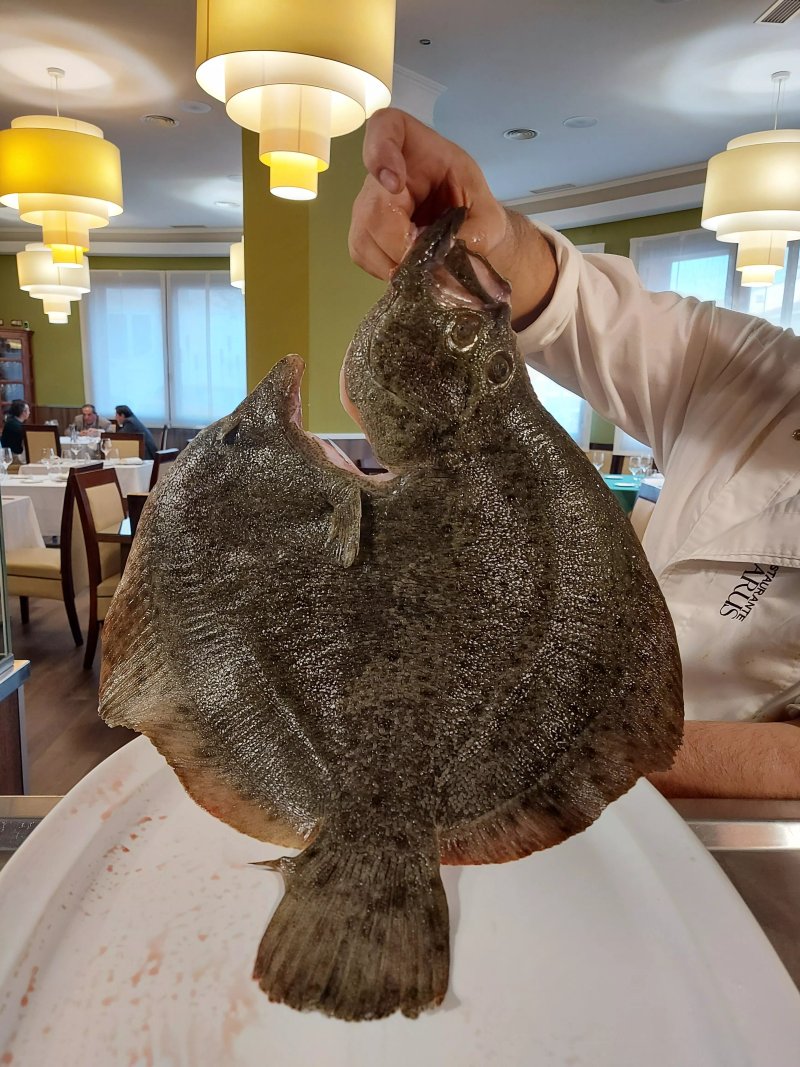 Restaurante Homarus