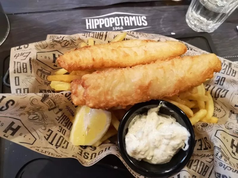 Hippopotamus