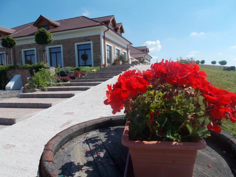 Penzion St. Petrus Vini