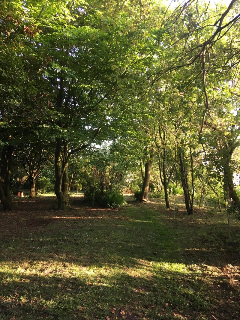 Memorial Garden Llansaint
