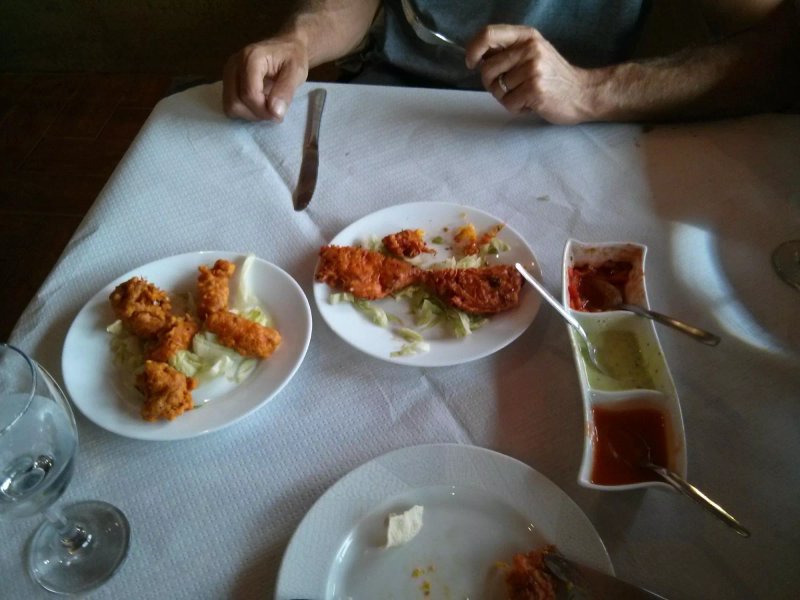 Bombay Fortuna