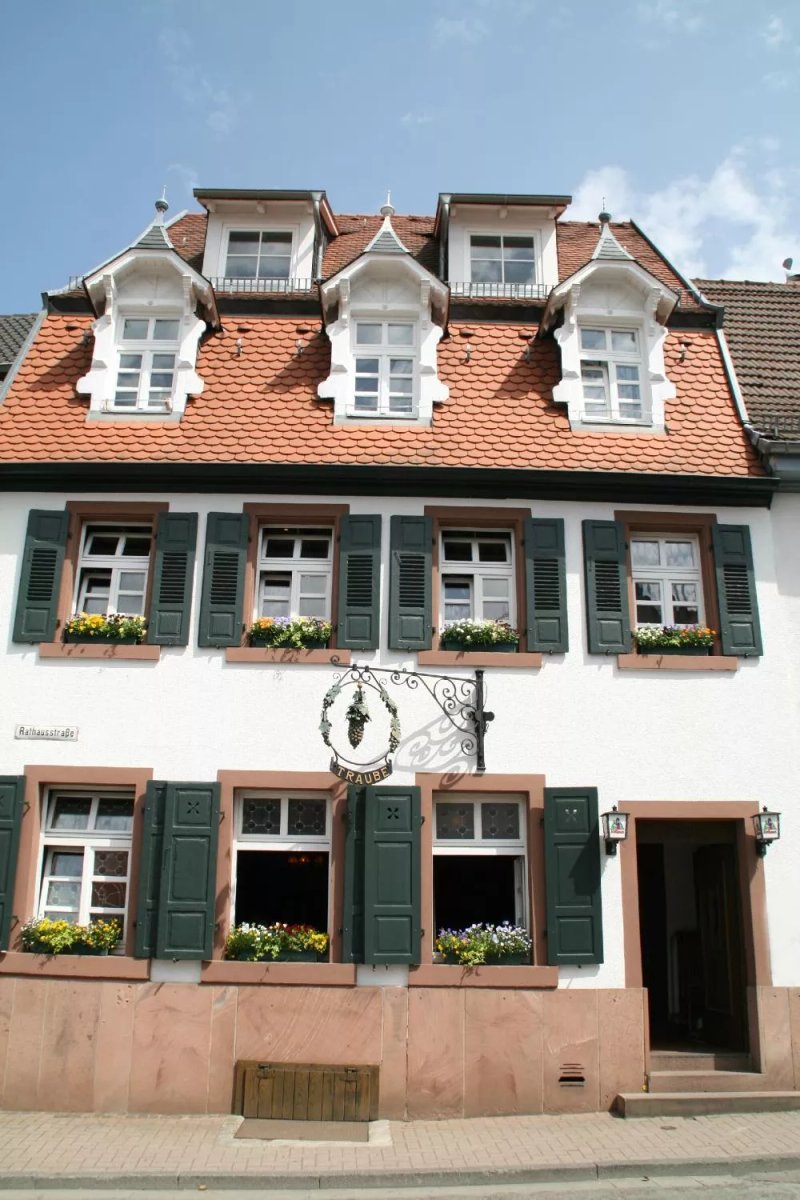 Traube Rohrbach
