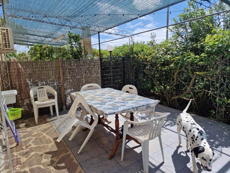 Agriturismo Terra del Sole