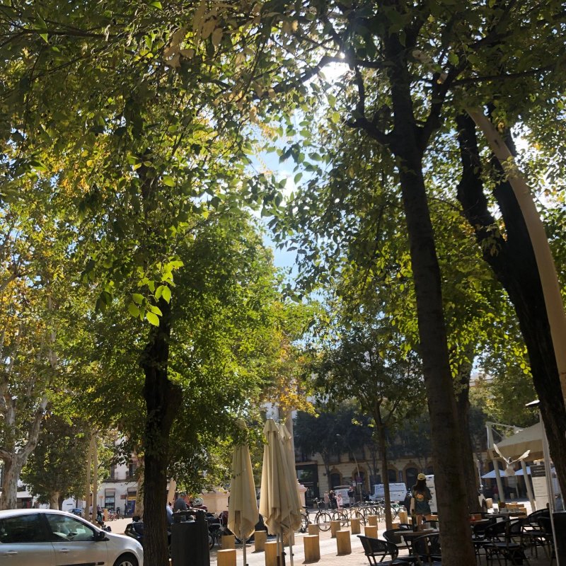 las Columnas