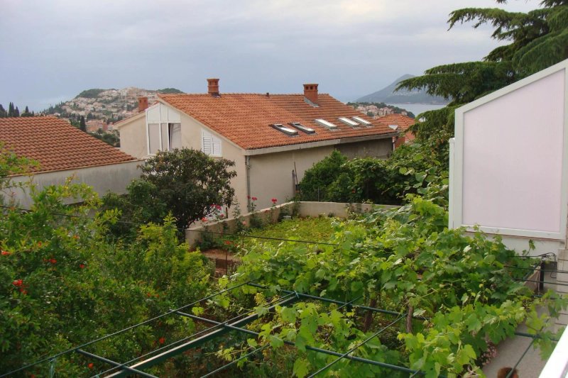 Jele Rooms