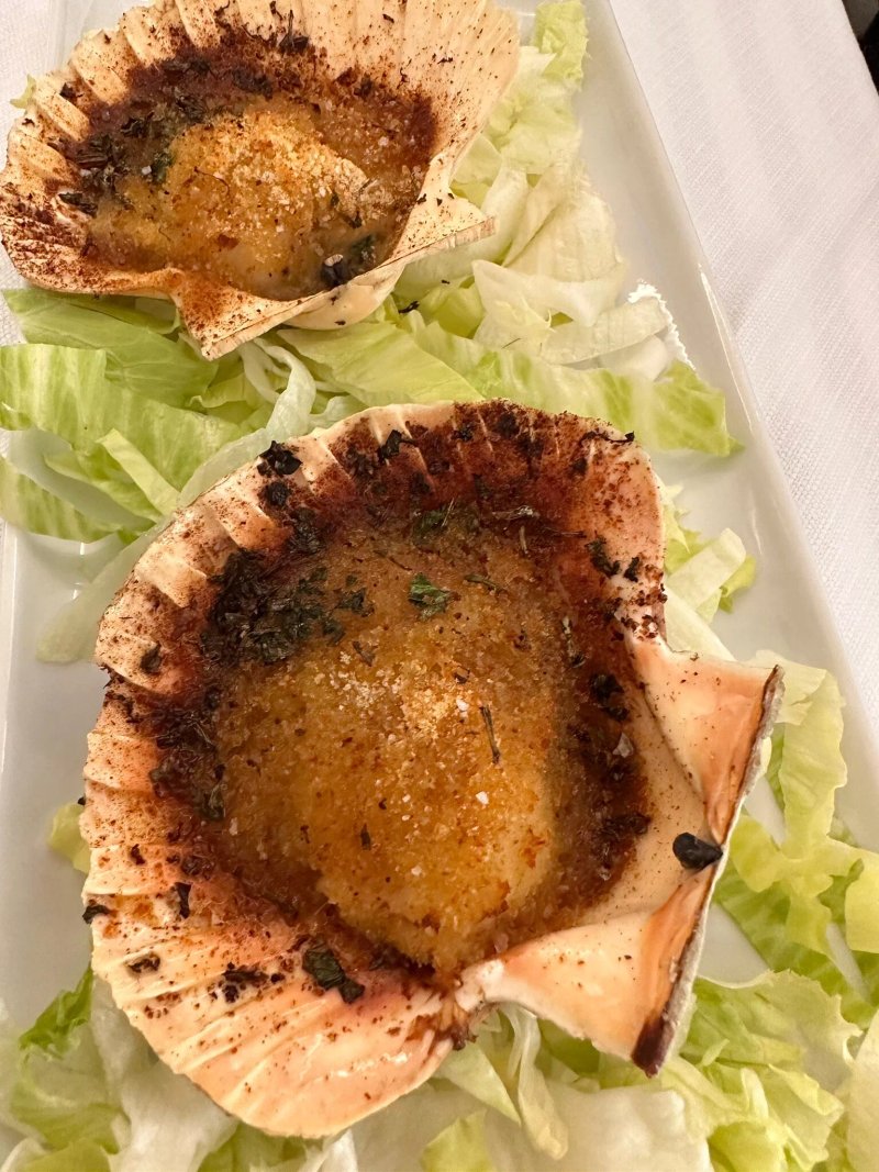 Lupo di Mare