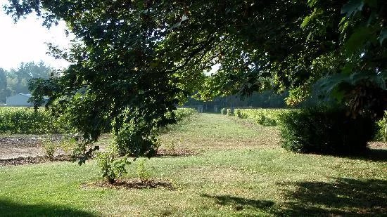Chateau de Pintray