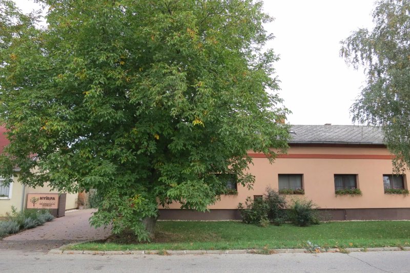 Nyirfa Apartmanhaz