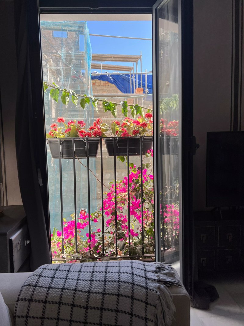 Dreams of Marbella