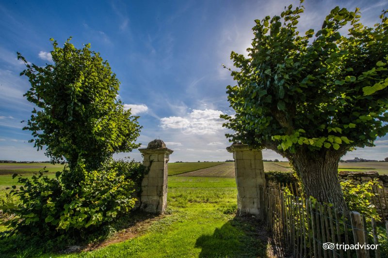 Loire Valley Retreat - Château de Chargé