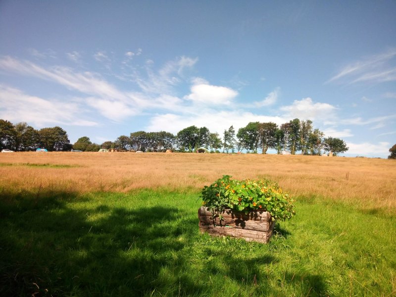 Dipple Farm Camping
