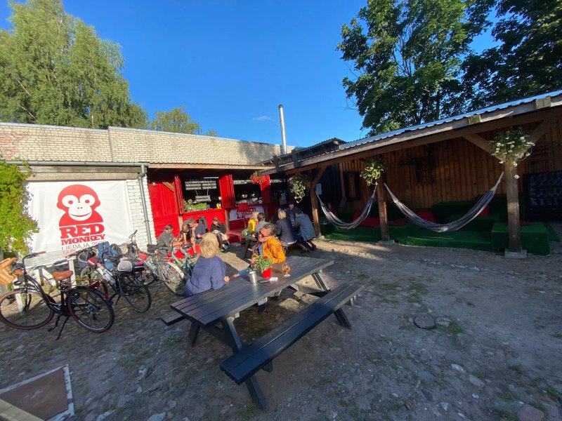 Redmonkeyliepaja