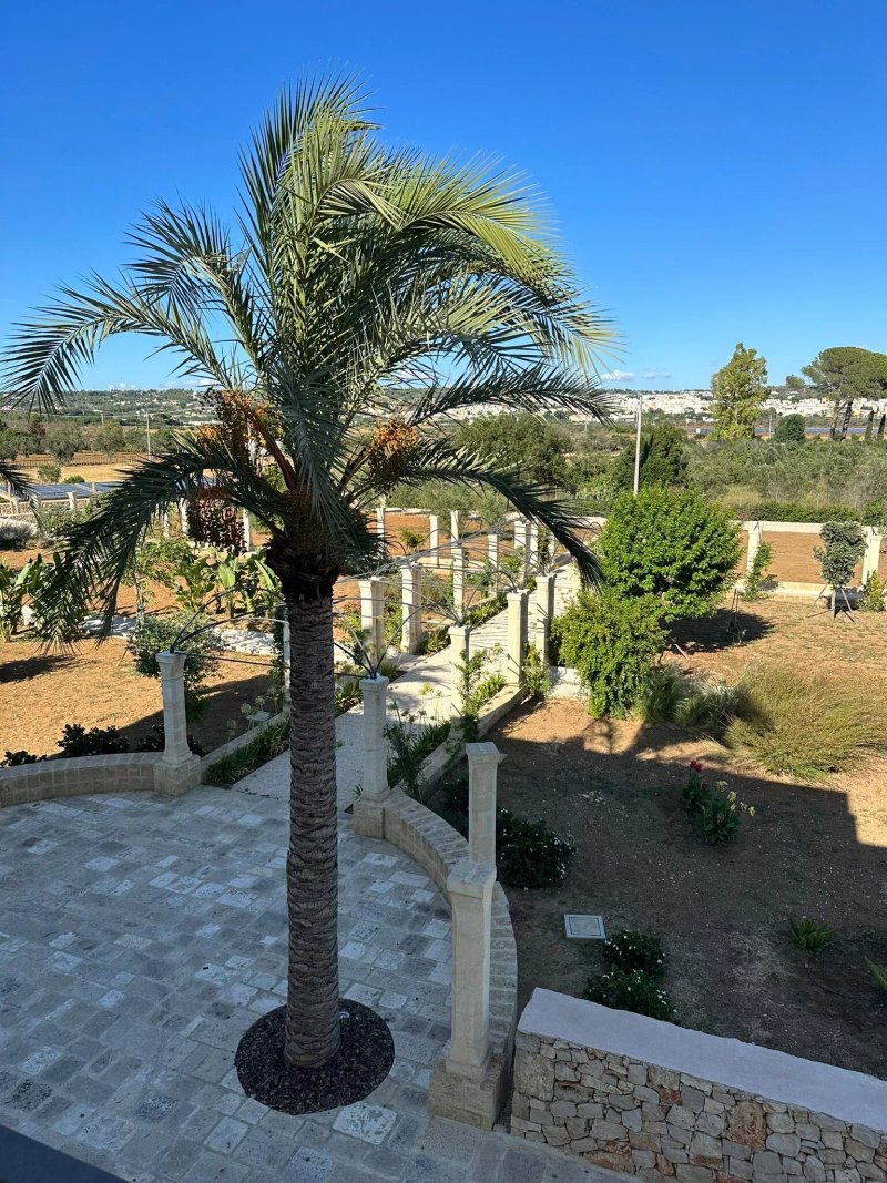 Il Giardino Grande Dimora In Salento