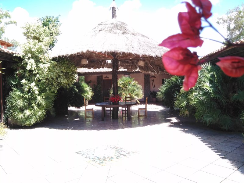 Agriturismo La Mimosa