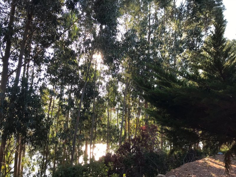 Parque Campismo Foz de Alge