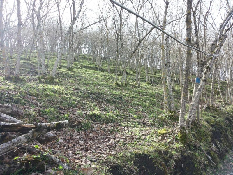 Azienda Agrituristica “Il Capitano”