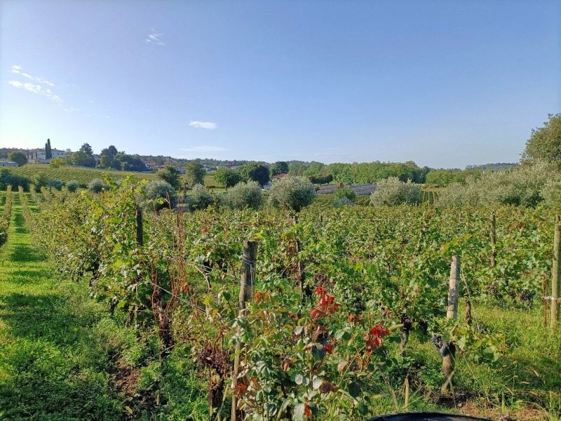 Locanda al Dossello in Franciacorta